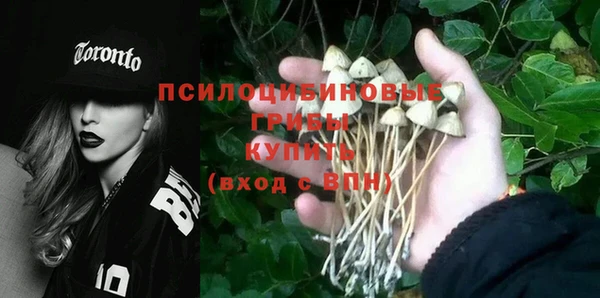 шишки Алексин